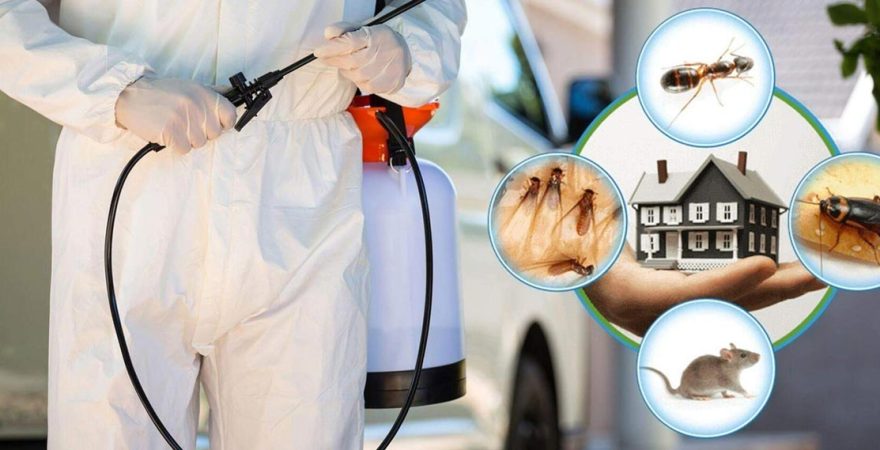 Derbent Böcek İlaçlama