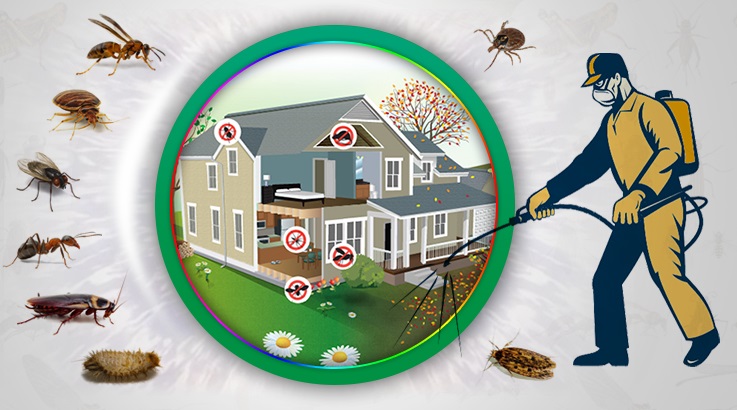 Derbent Böcek İlaçlama