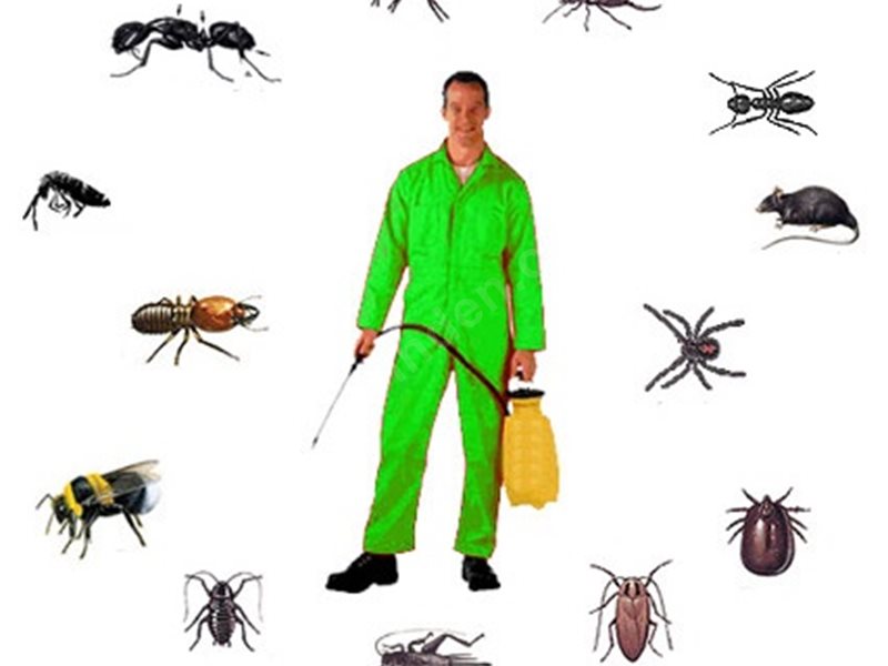 Derbent Böcek İlaçlama